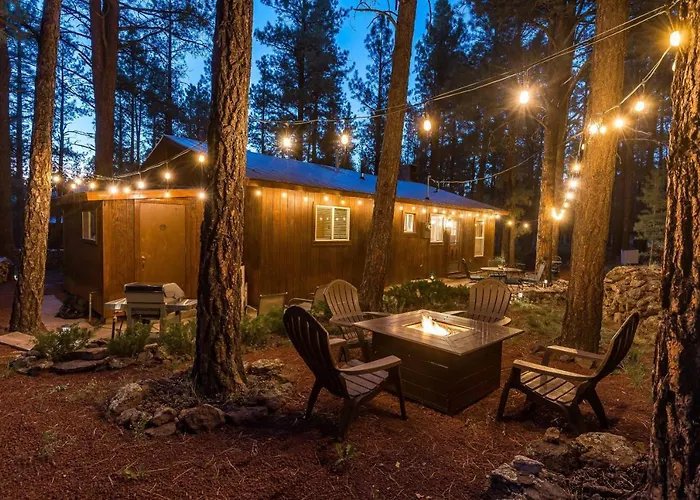 Holiday home Winter Snow! Book Now! Rogue Bear Williams