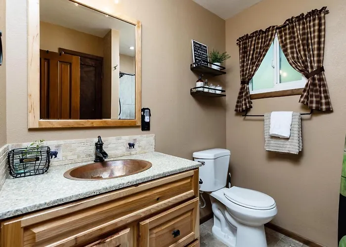 Winter Snow! Book Now! Rogue Bear Williams