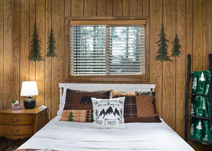 Winter Snow! Book Now! Rogue Bear